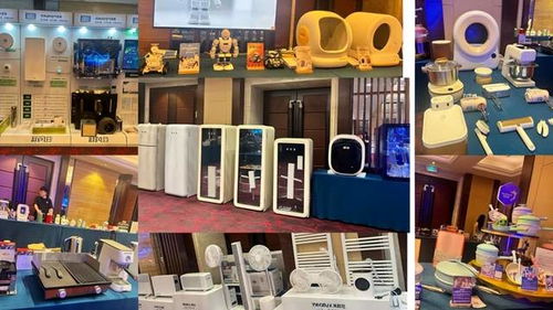 新征程 新起点 家电创新成长联盟山东省公司启动大会圆满落幕